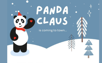 Panda Claus powraca!