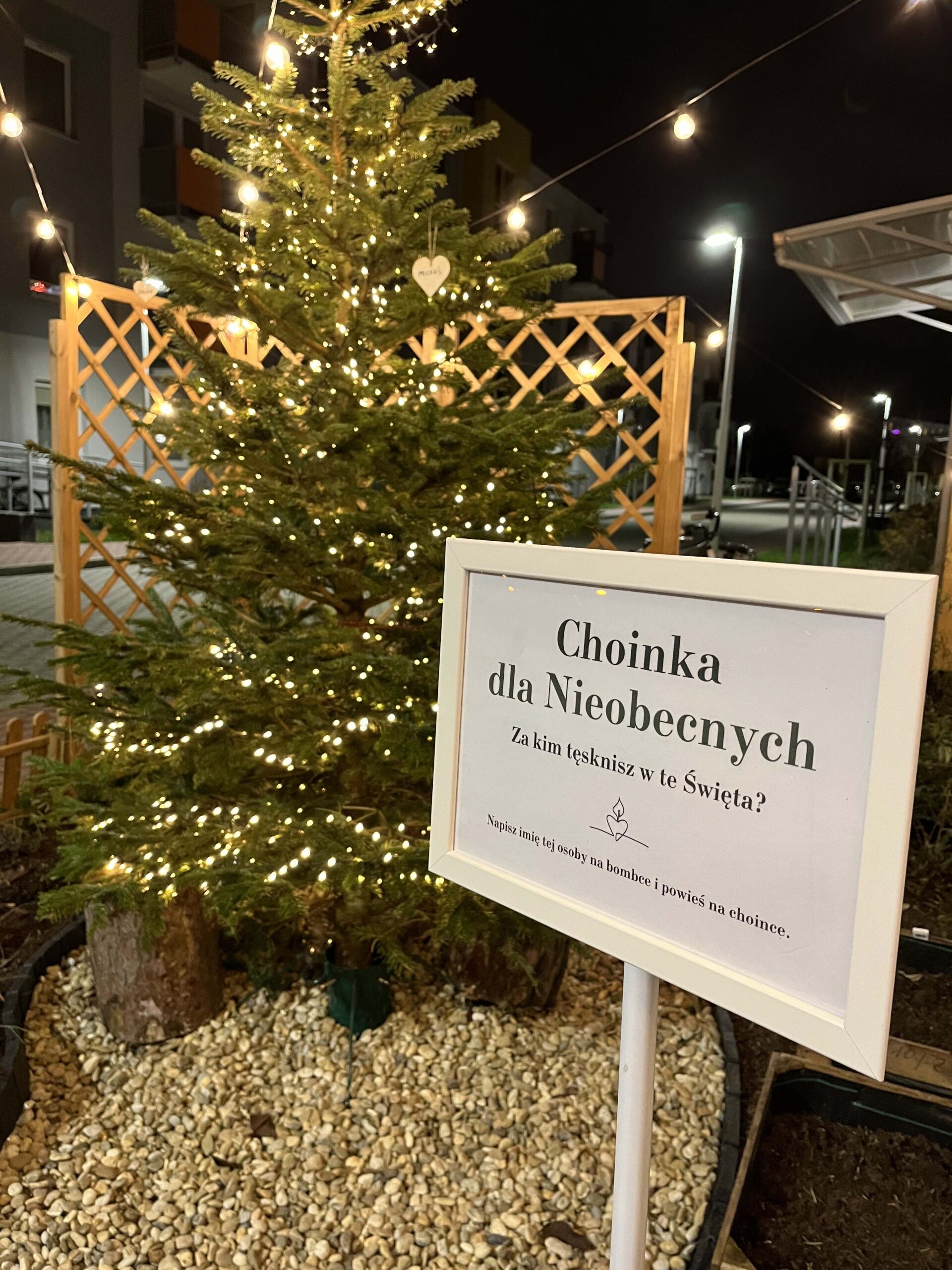 Panda Team - zespół