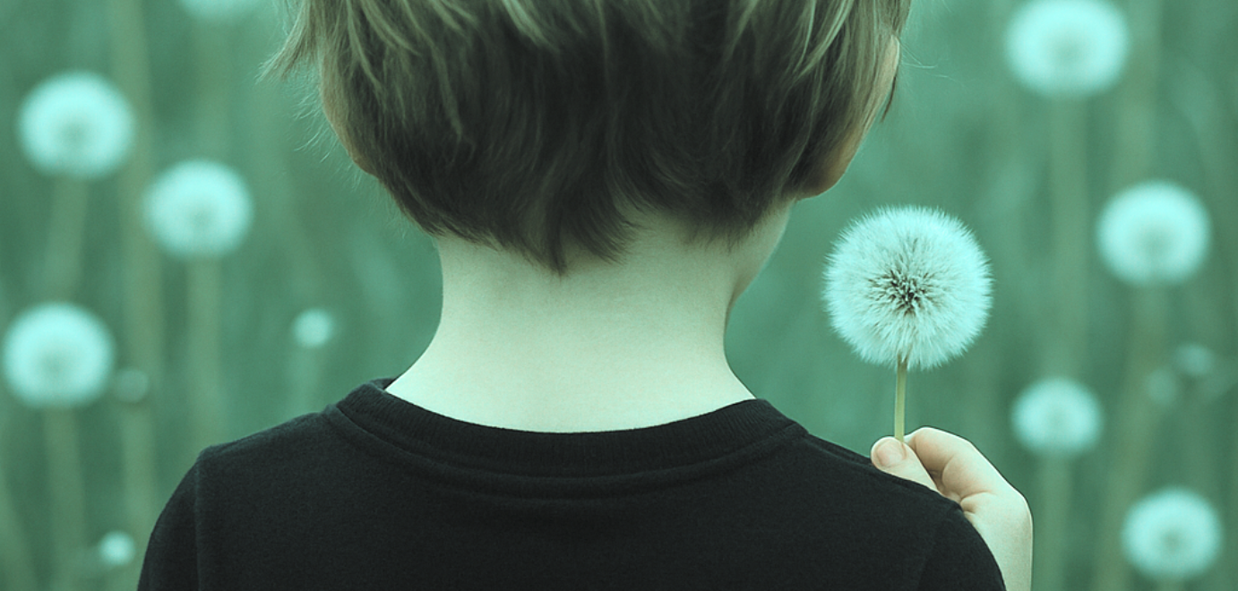 kolekacja-props-pandateam Panda Team - zespół